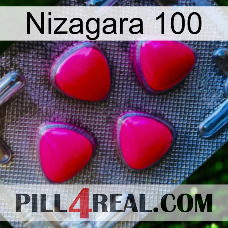 Nizagara 100 13